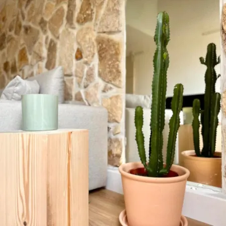 Superbe Maison - Bain Chaud Ou Froid & Cinema - Cap D'agde Semesterbostad *