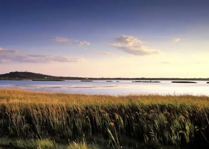 Superbe Maison - Bain Chaud Ou Froid & Cinema - Cap D'agde