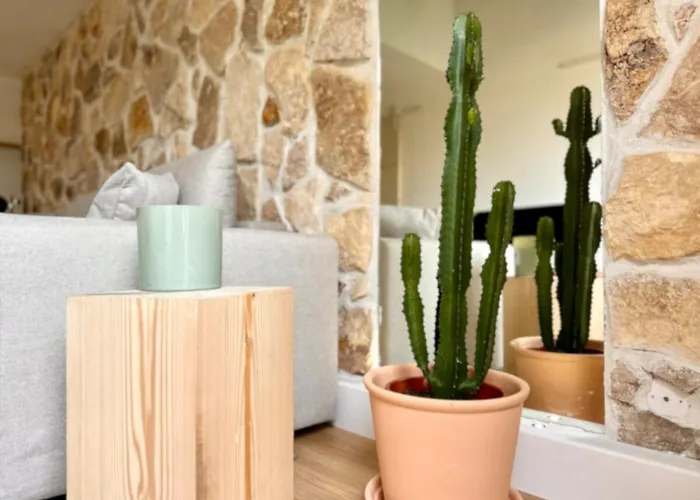 Superbe Maison - Bain Chaud Ou Froid & Cinema - Cap D'agde Casa vacanze *